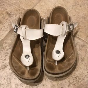 Betula birkenstocks
